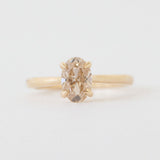 Celine Ring - Champagne Diamond