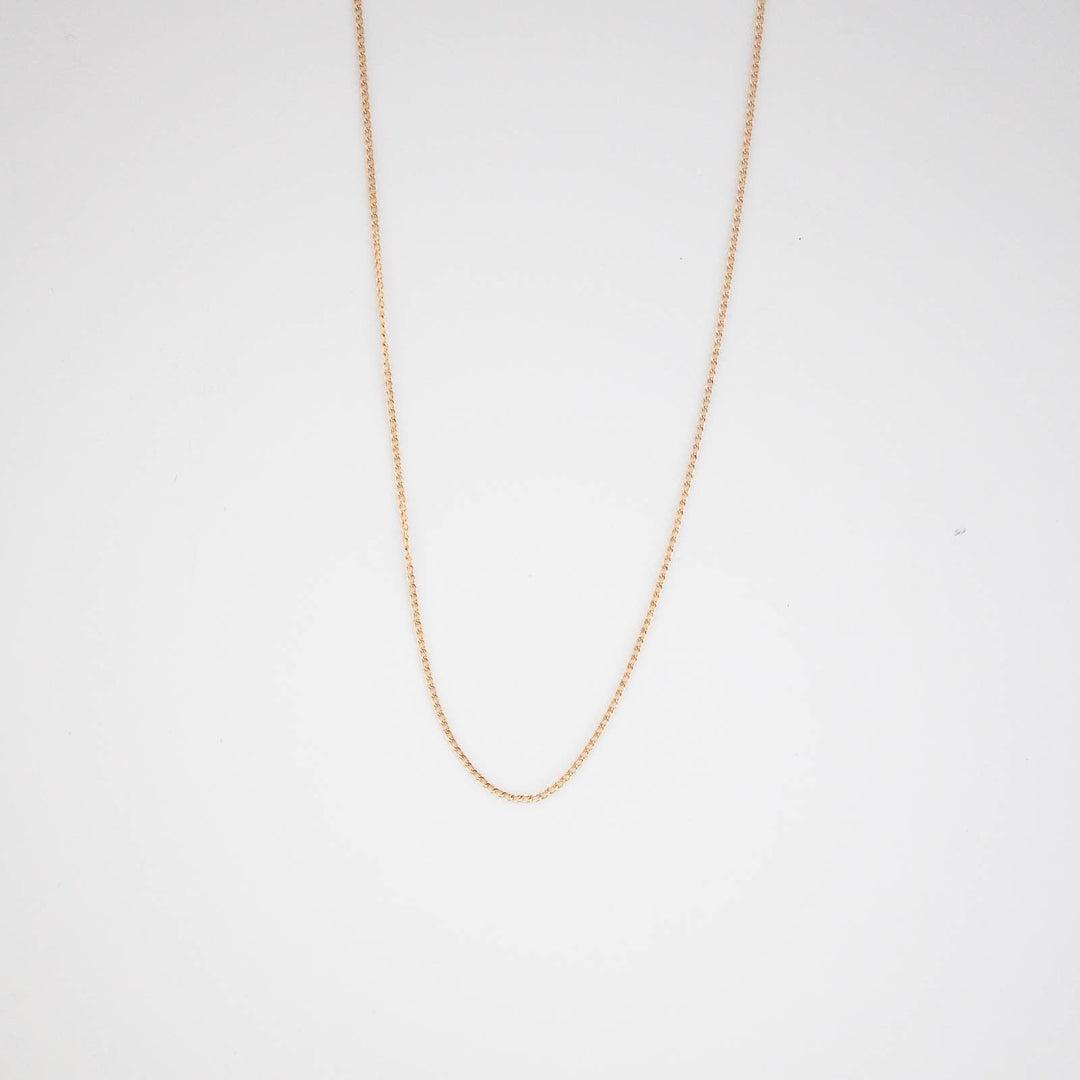 Dainty Curb Chain Necklace