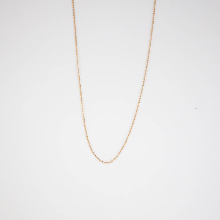 Dainty Curb Chain Necklace